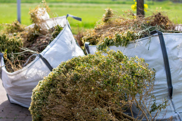 Best Commercial Cleanout Services  in Forest Lake, MN